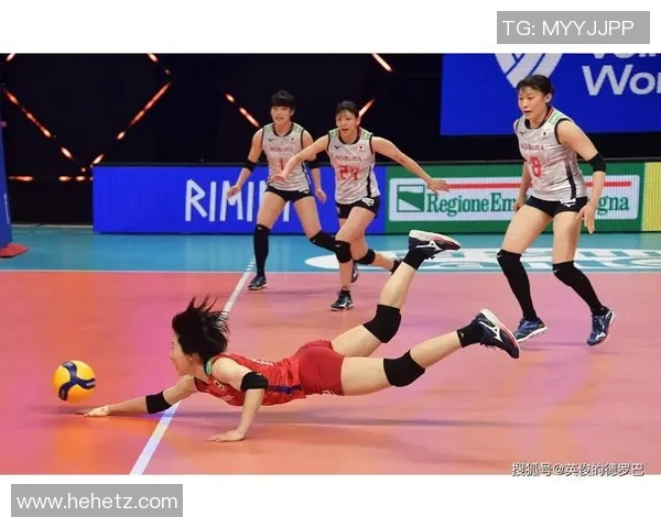 武汉排球队快攻战术解析与深度剖析排球竞技的魅力与挑战